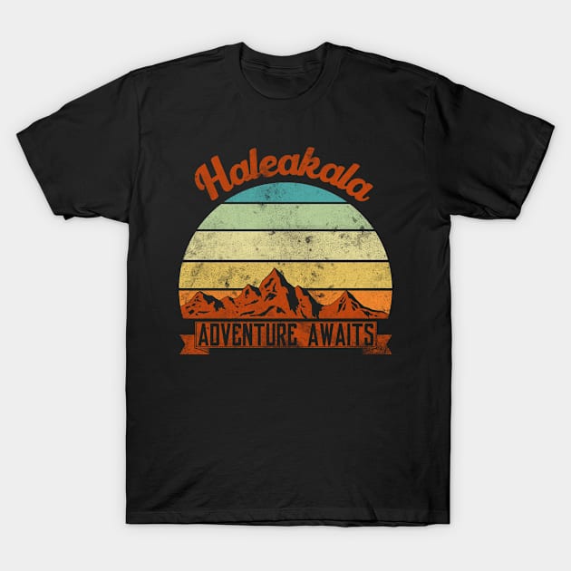 Haleakala family camping father son. Perfect present for mother dad friend him or her T-Shirt by SerenityByAlex